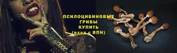 тгк Михайлов